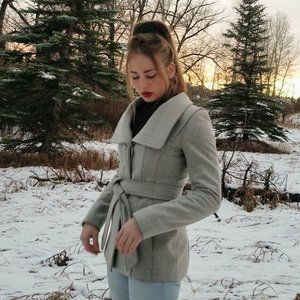 ARITZIA BABATON CONNOR COAT